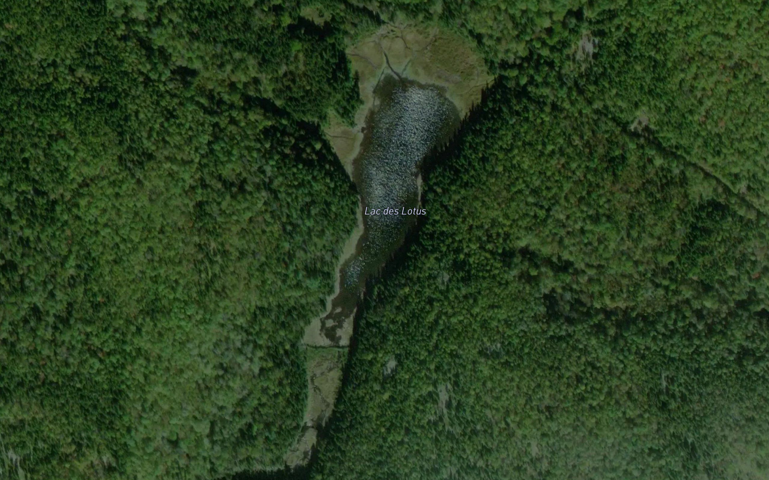 Lac des Lotus
