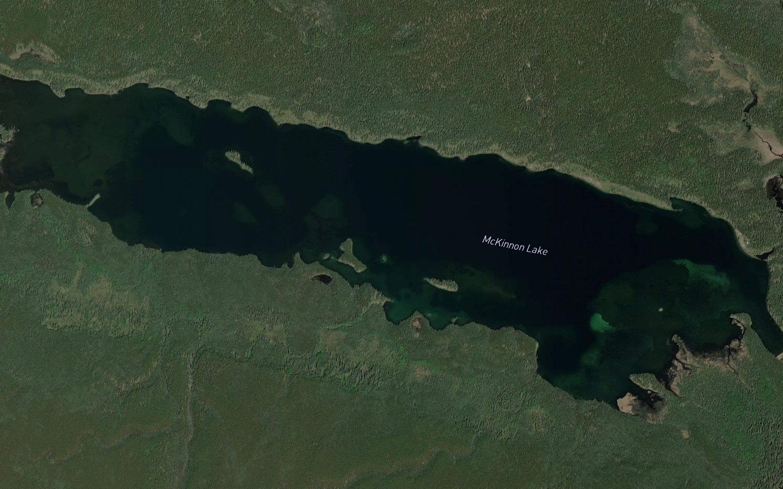 McKinnon Lake