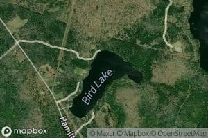 Bird Lake