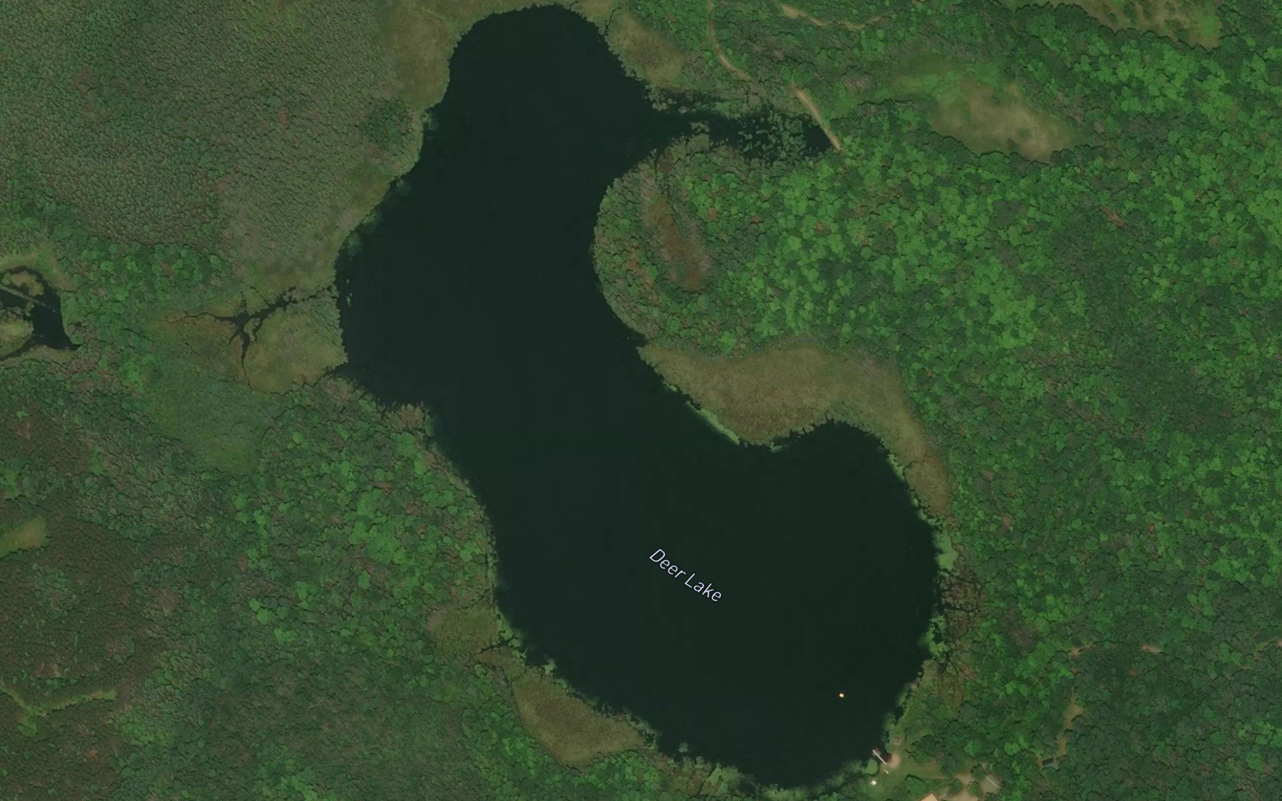 Deer Lake