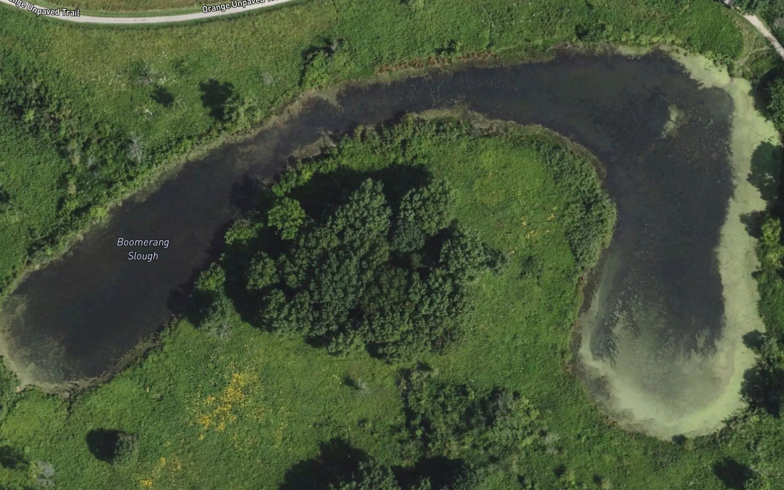 Boomerang Slough