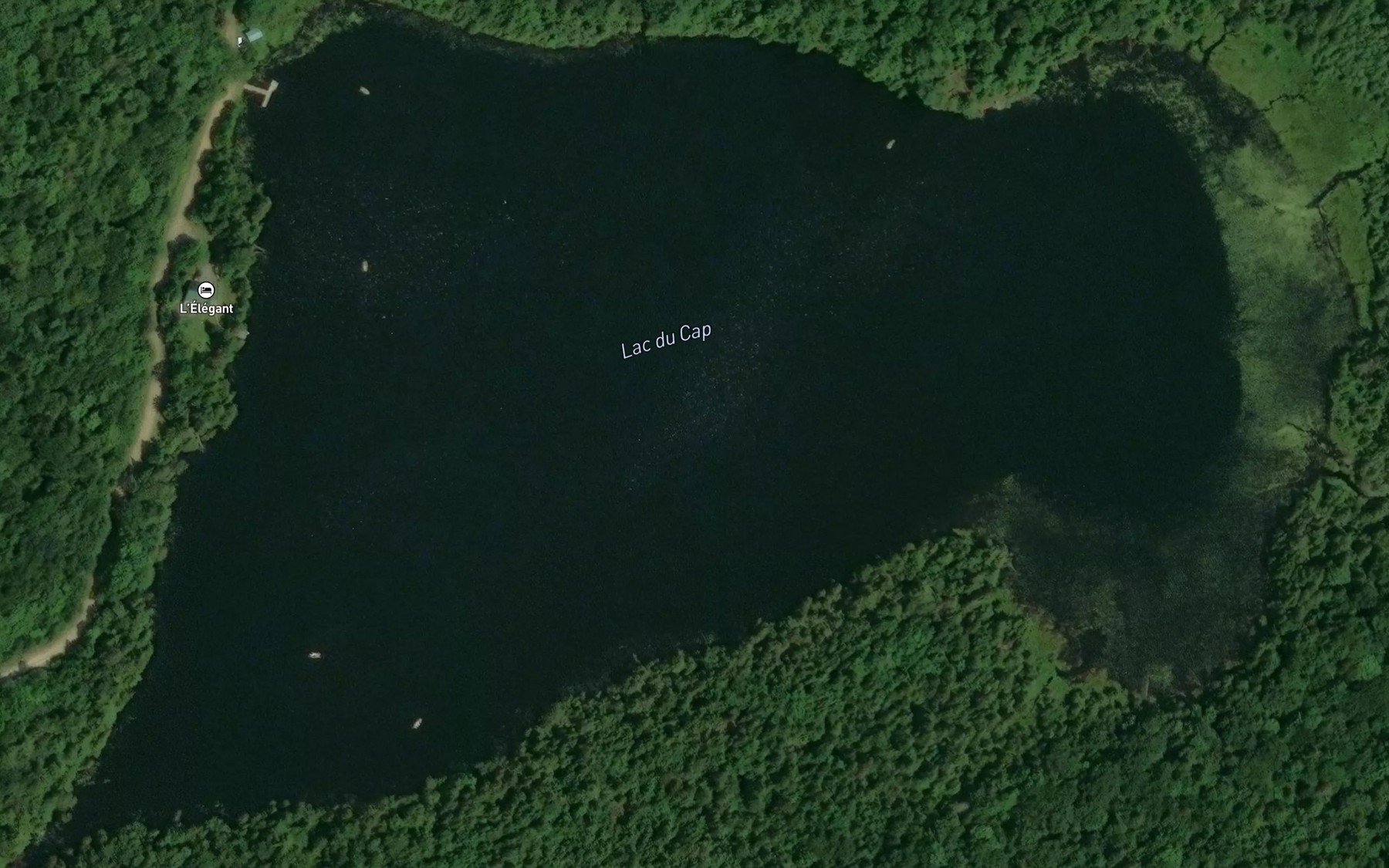 Satellite map of the Lac du Cap