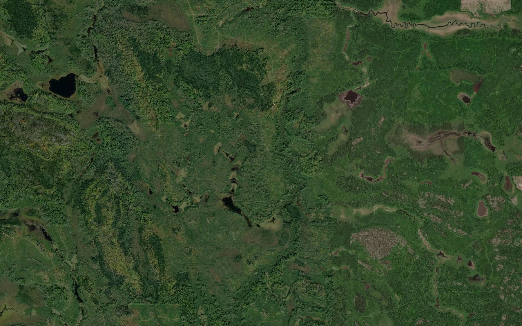 Satellite map of the Warden Creek