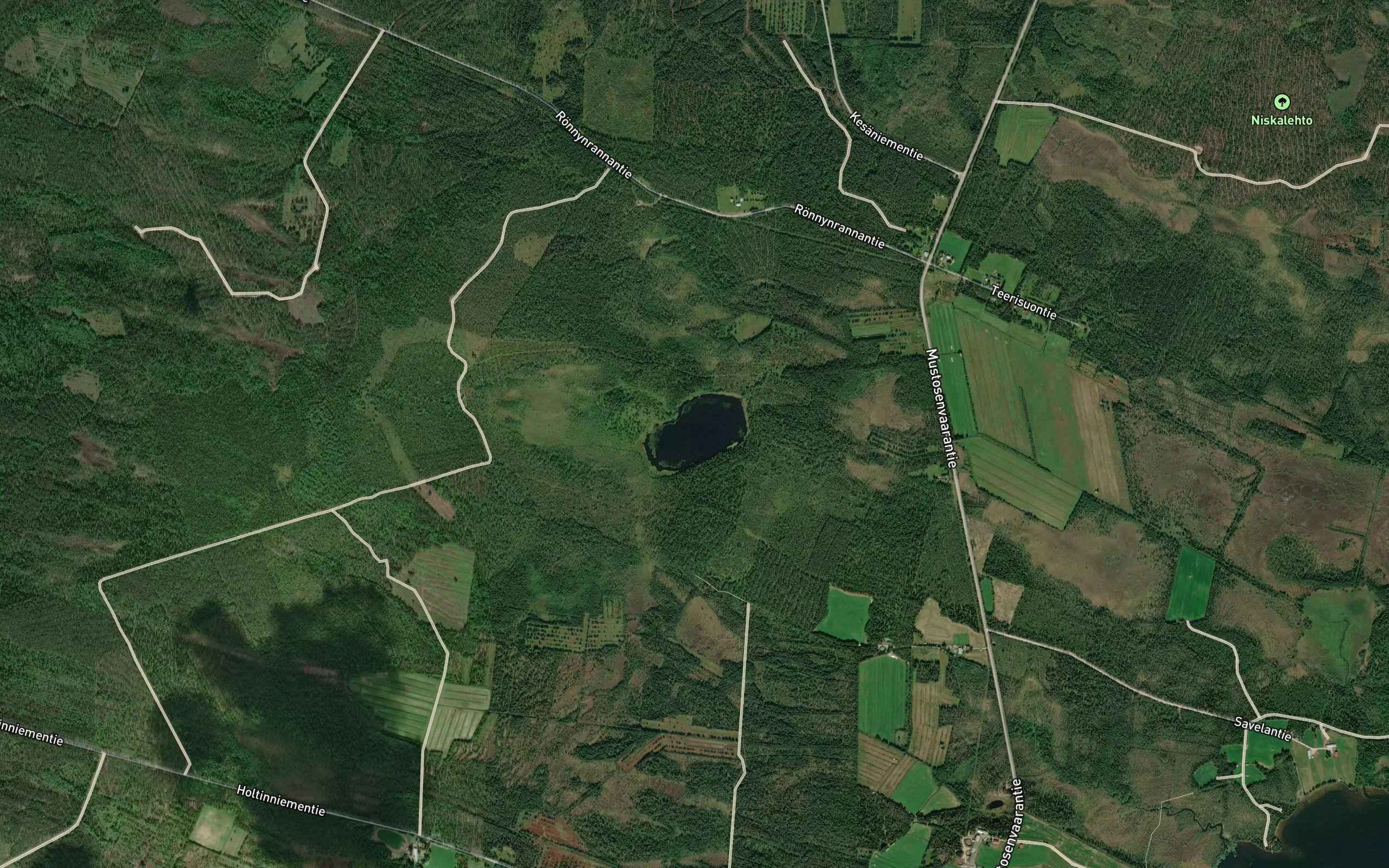 Haukilampi