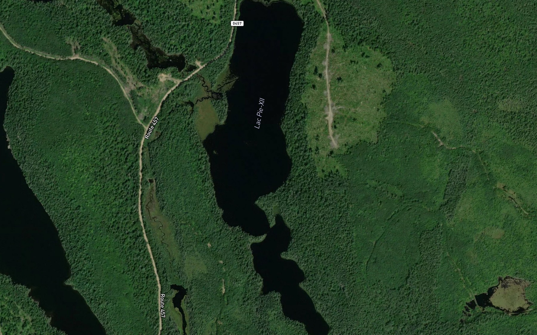 Satellite map of the Lac Pie-XII