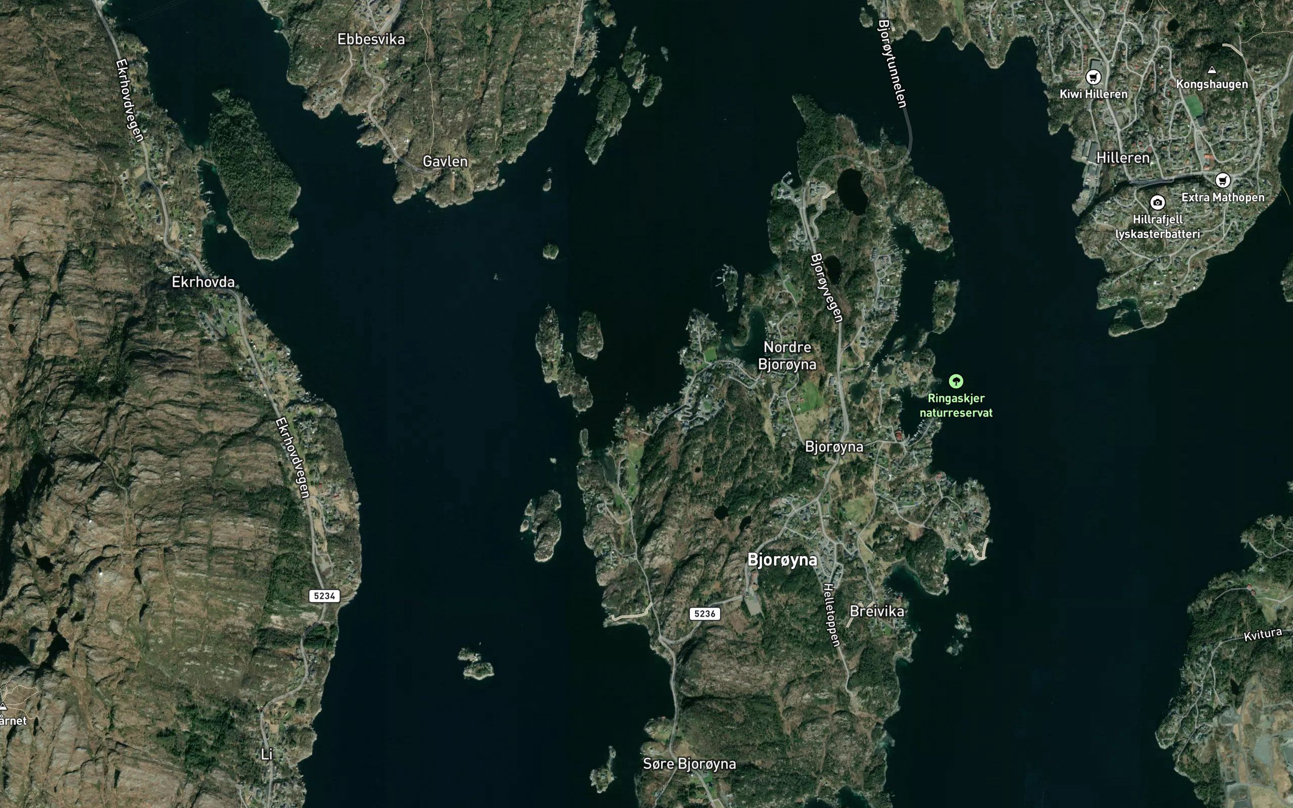 Trettevika