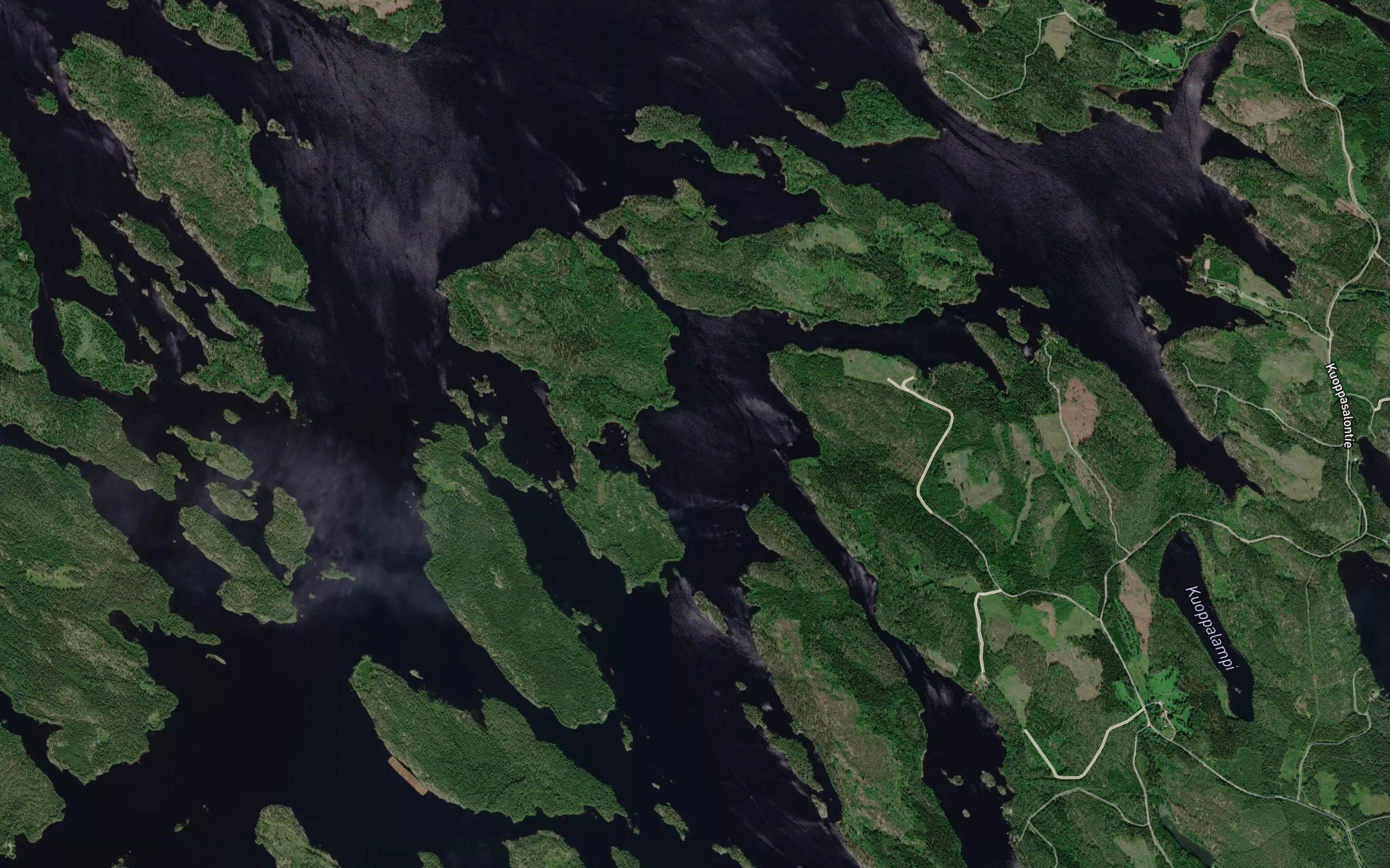 Liimanselka