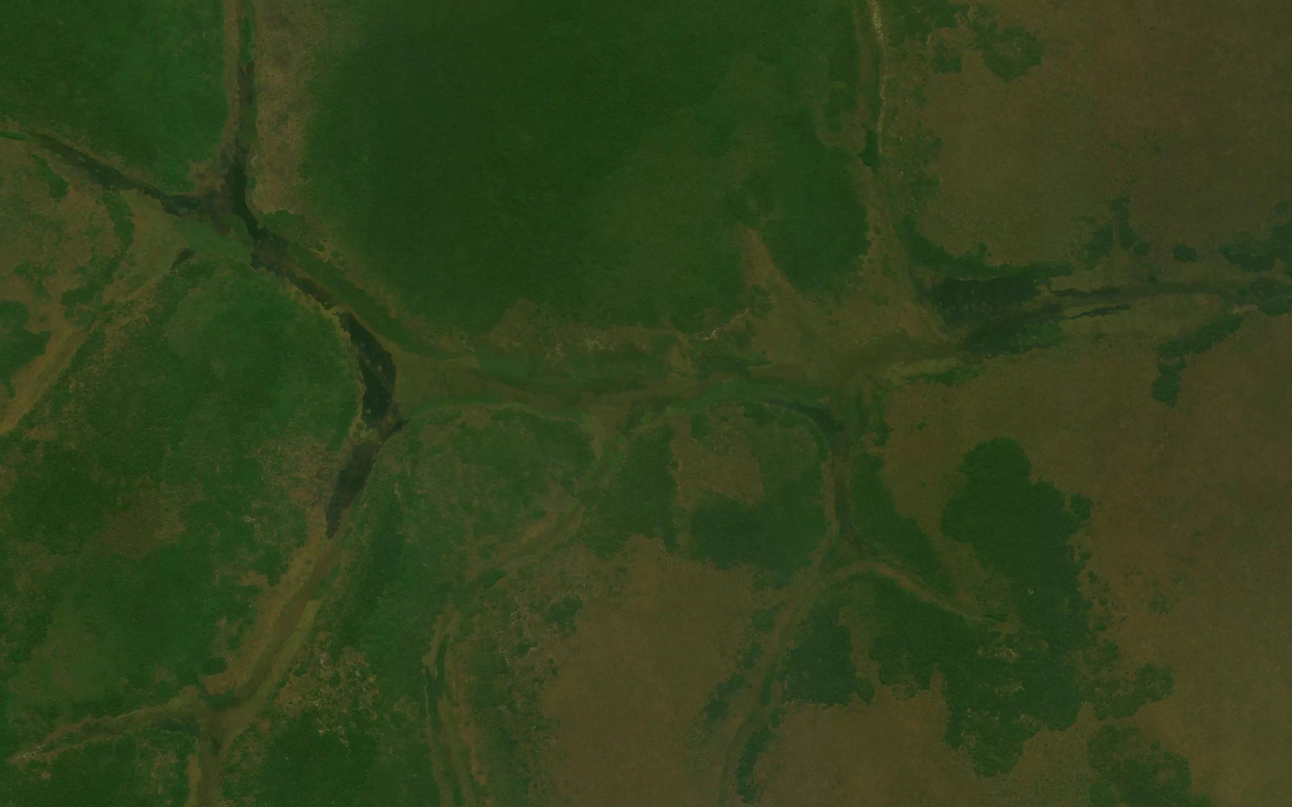 Uanhica