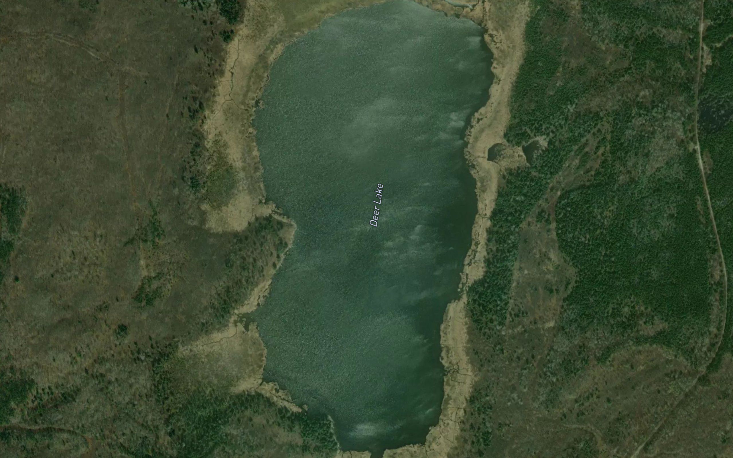 Deer Lake