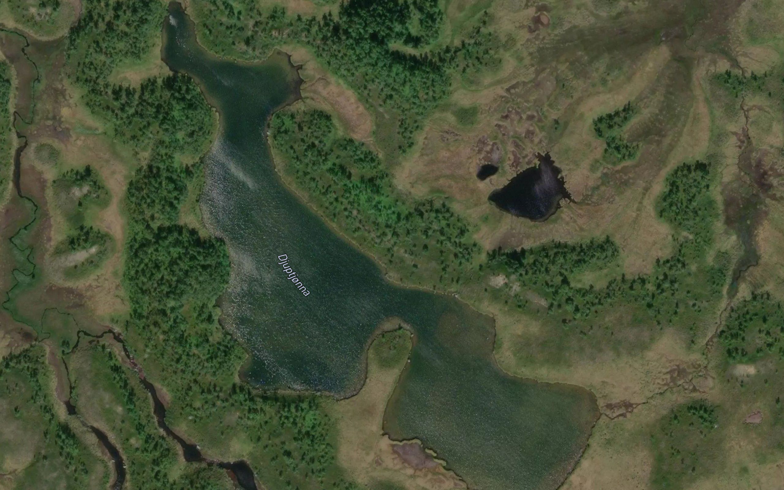Djuptjorna