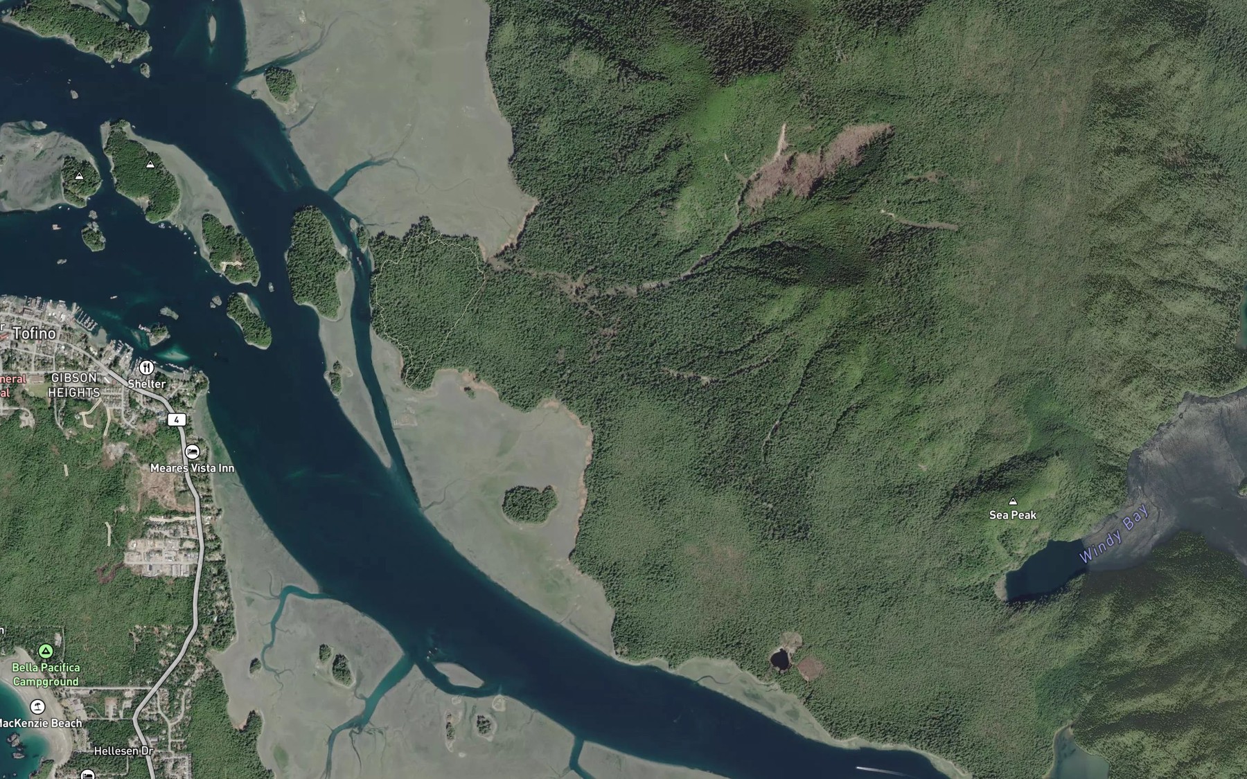 Satellite map of the Meares Creek