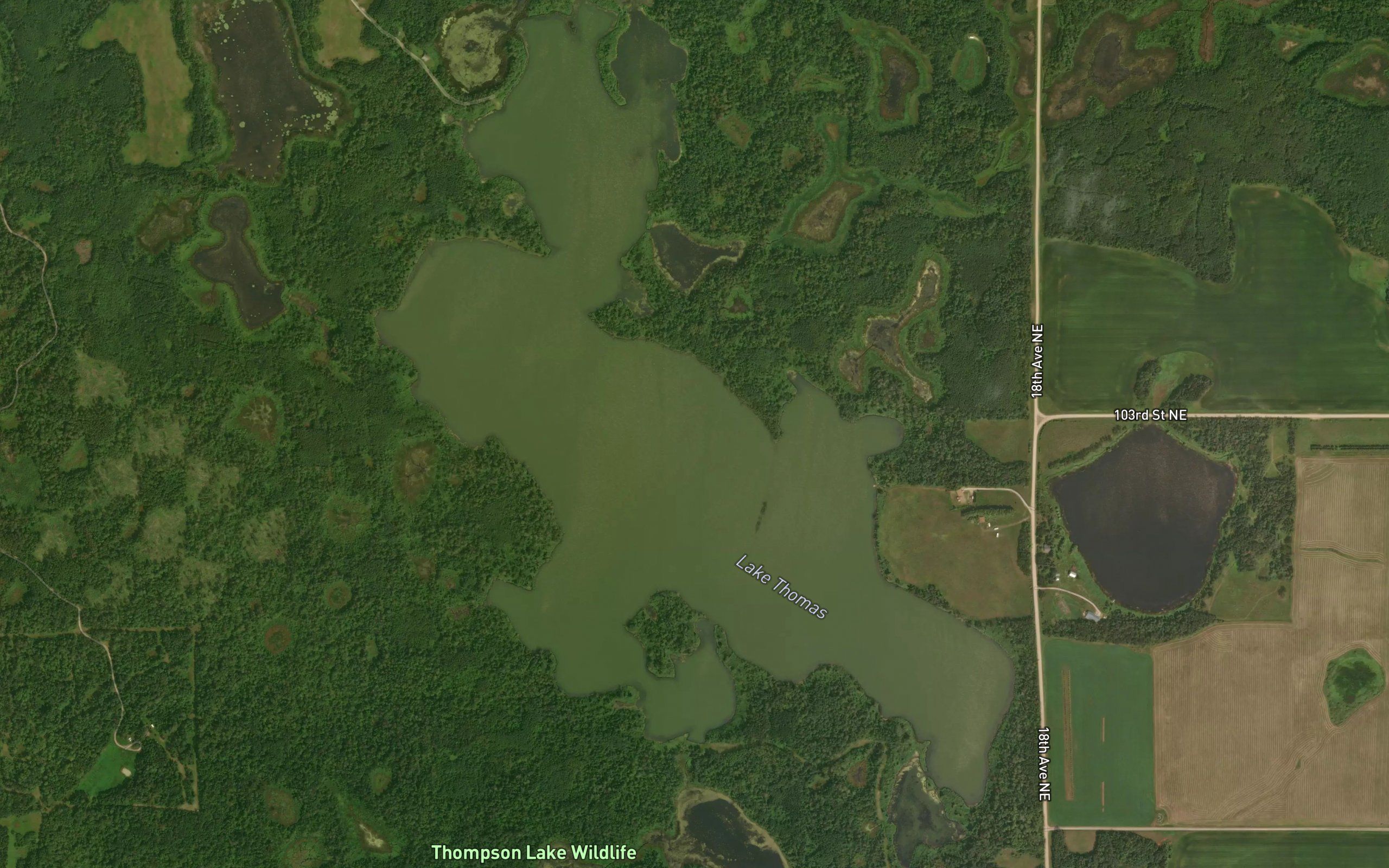 Lake Thomas