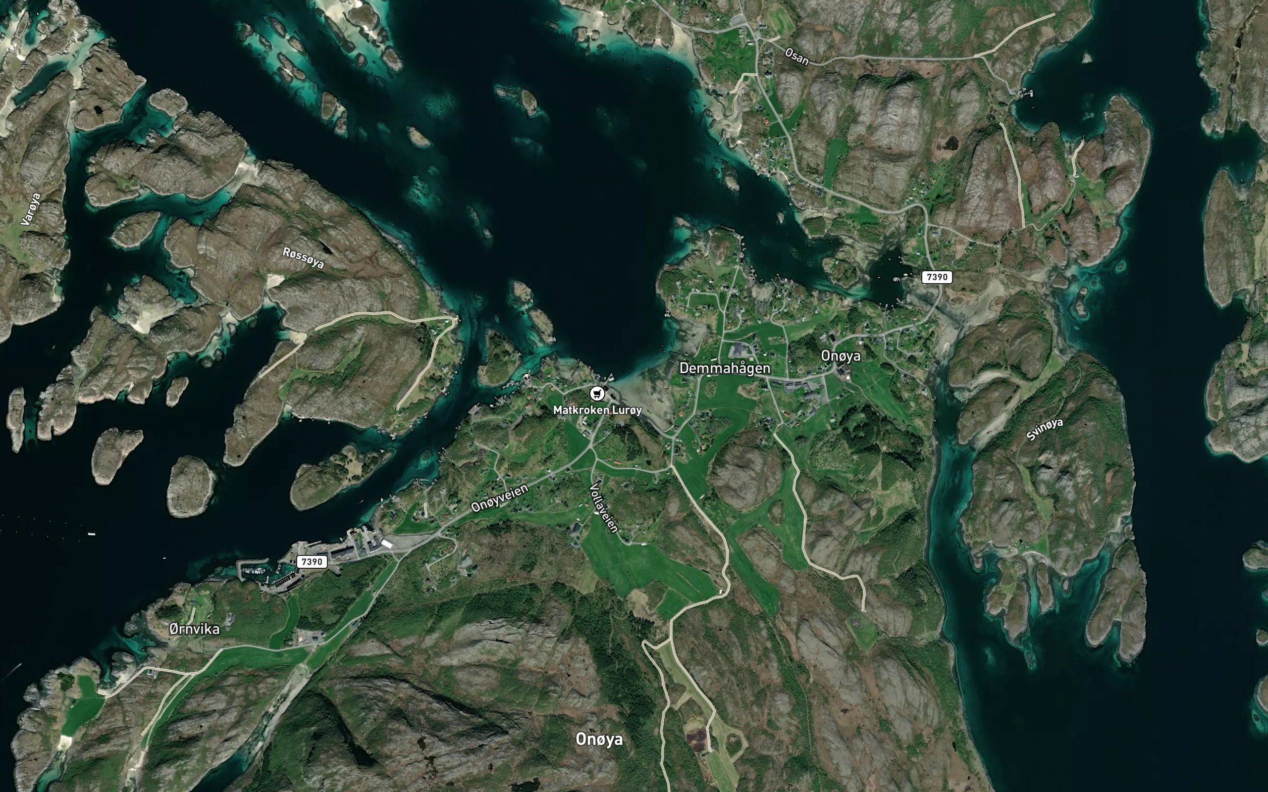 Onoyvika