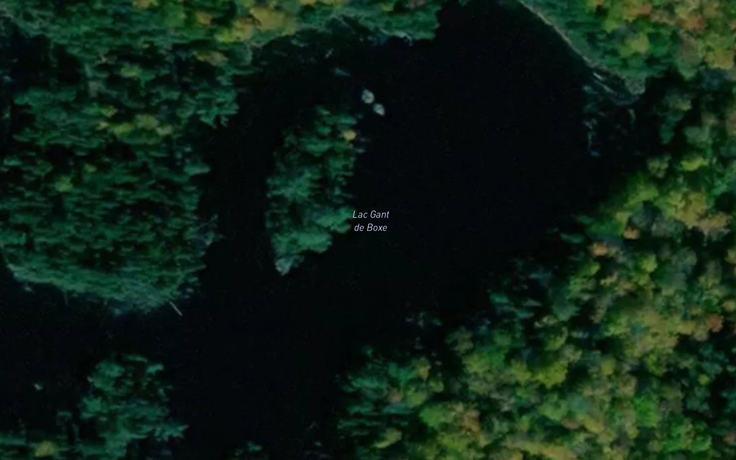 Lac Gant de Boxe