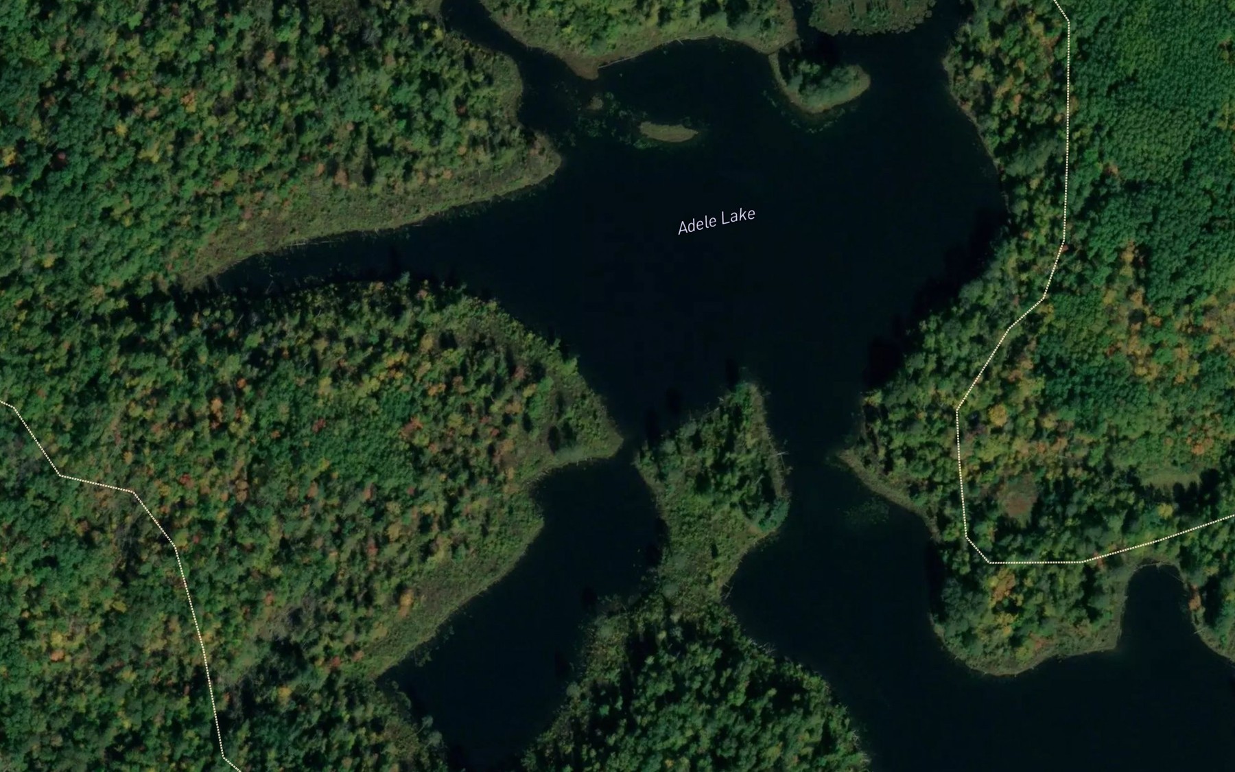 Satellite map of the Adele Lake