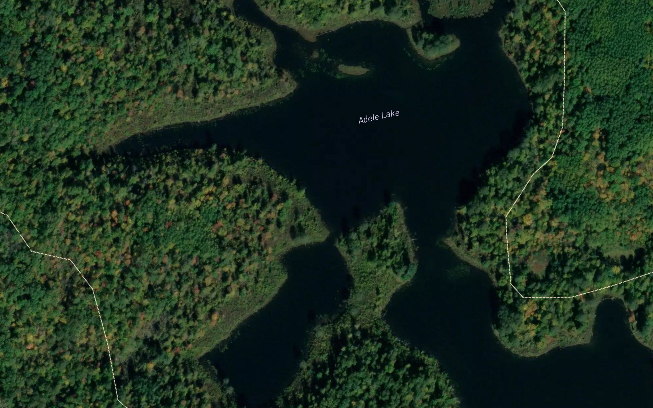 Adele Lake
