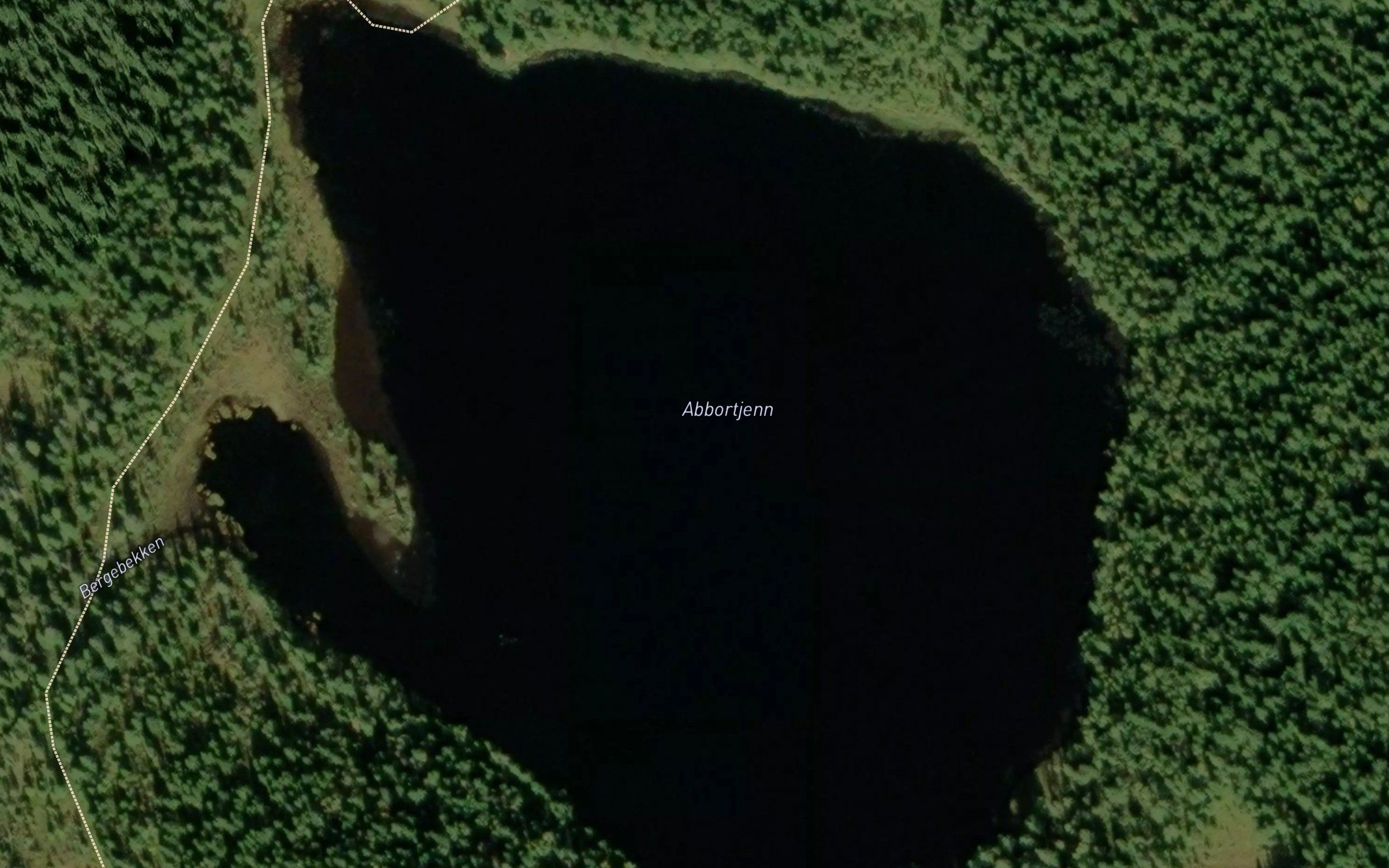 Abbortjern