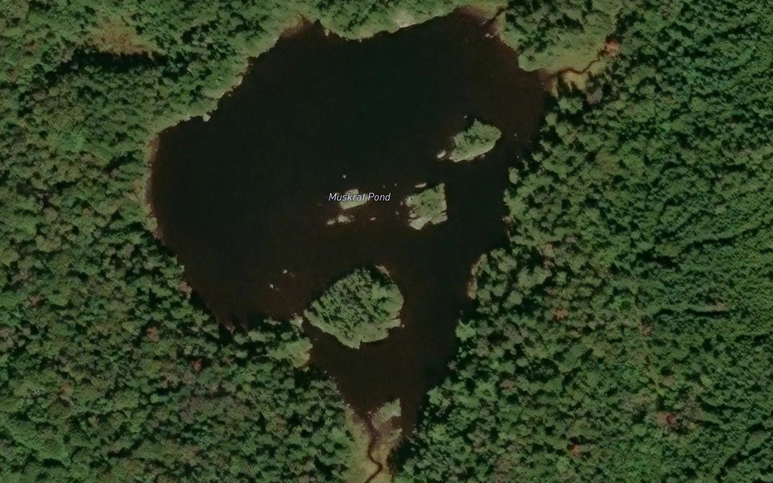 Muskrat Pond