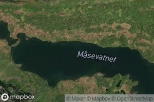 Masevatnet