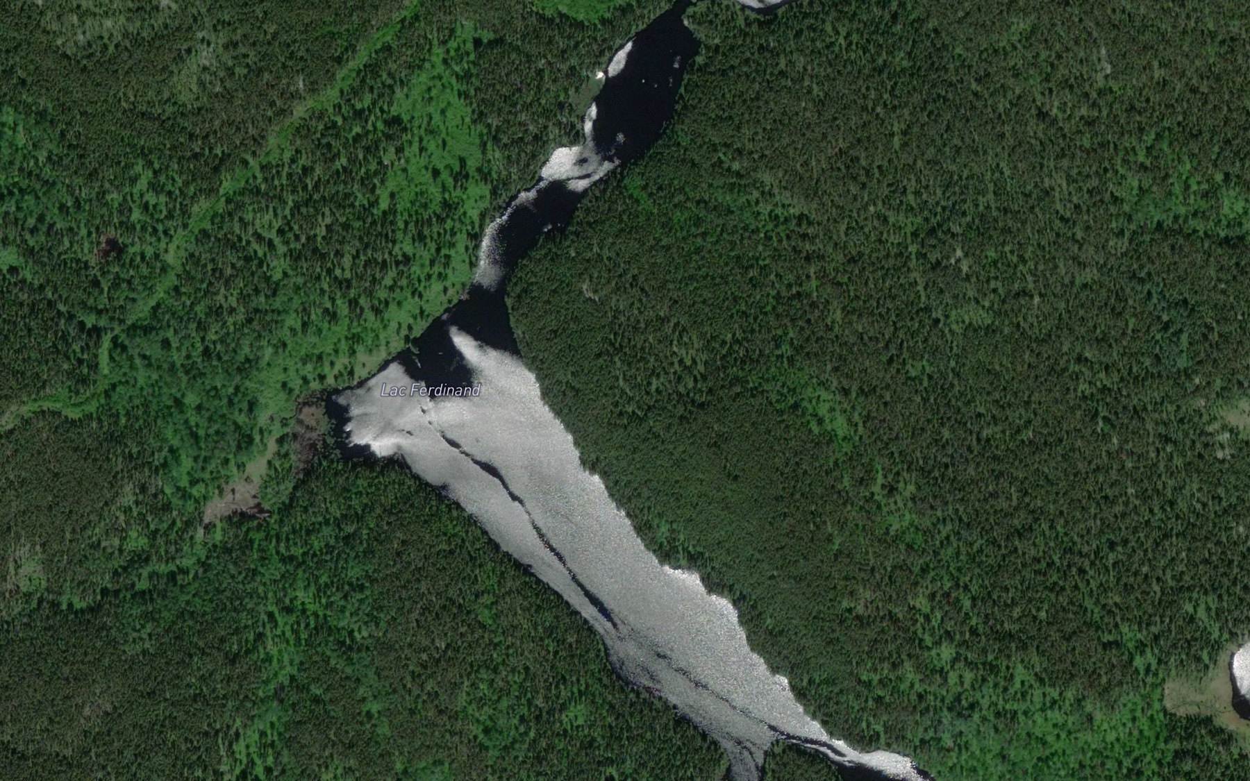 Satellite map of the Lac Ferdinand