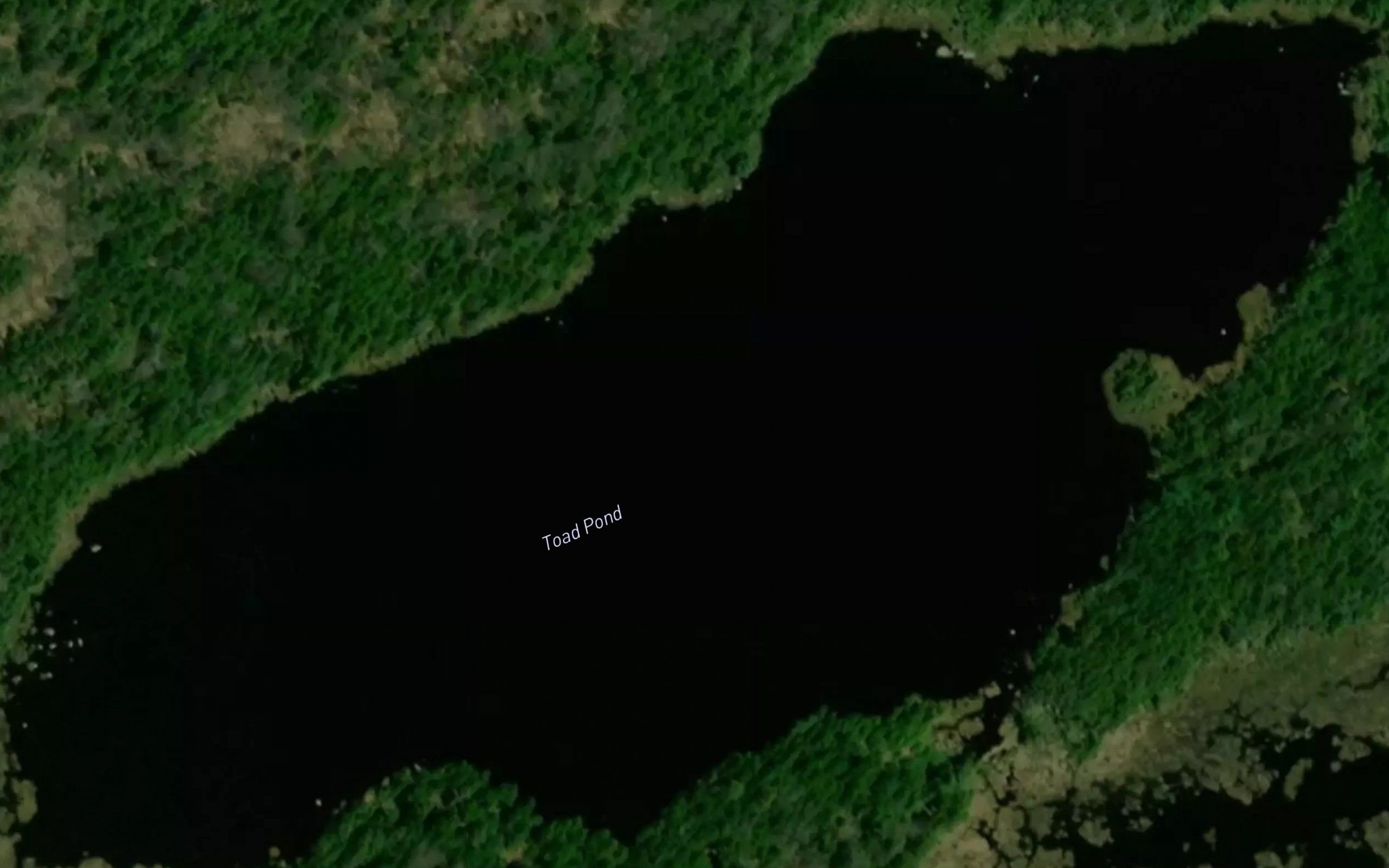 Toad Pond
