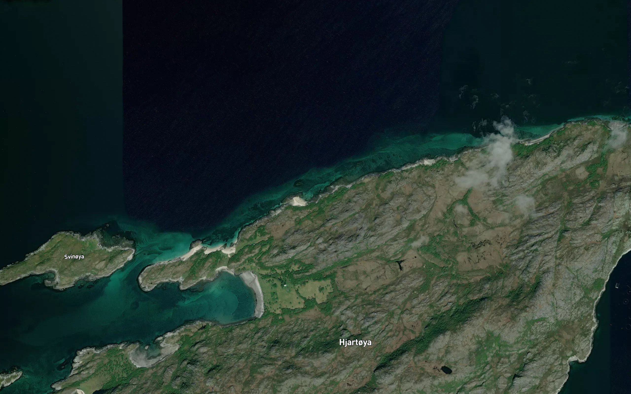 Krakvika