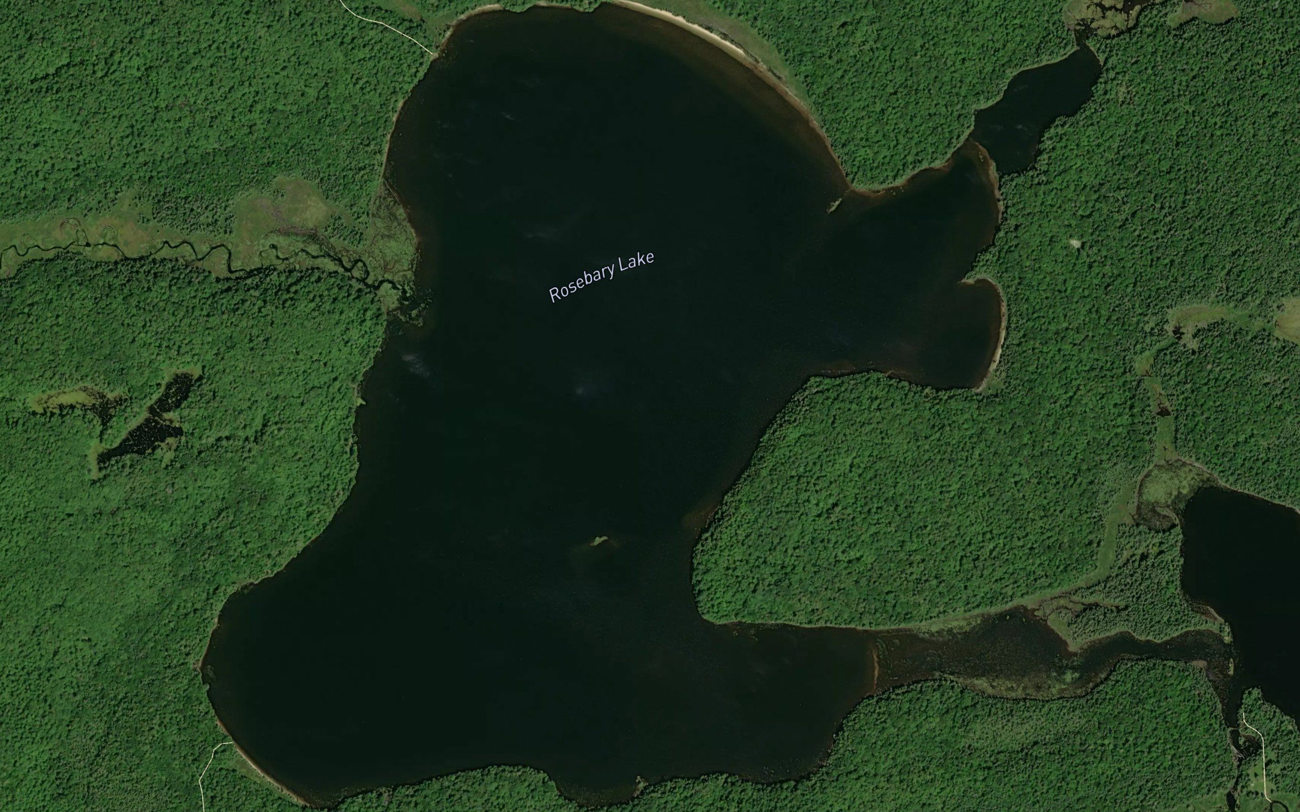 Rosebary Lake