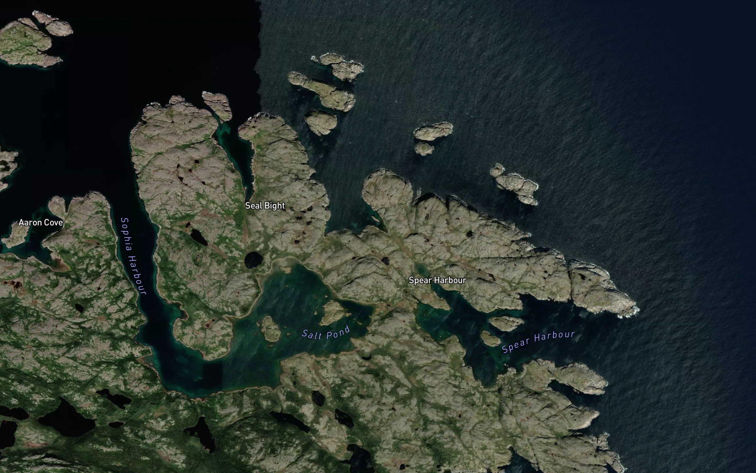 Sealing Bight