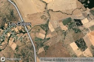 Estero Los Coipos