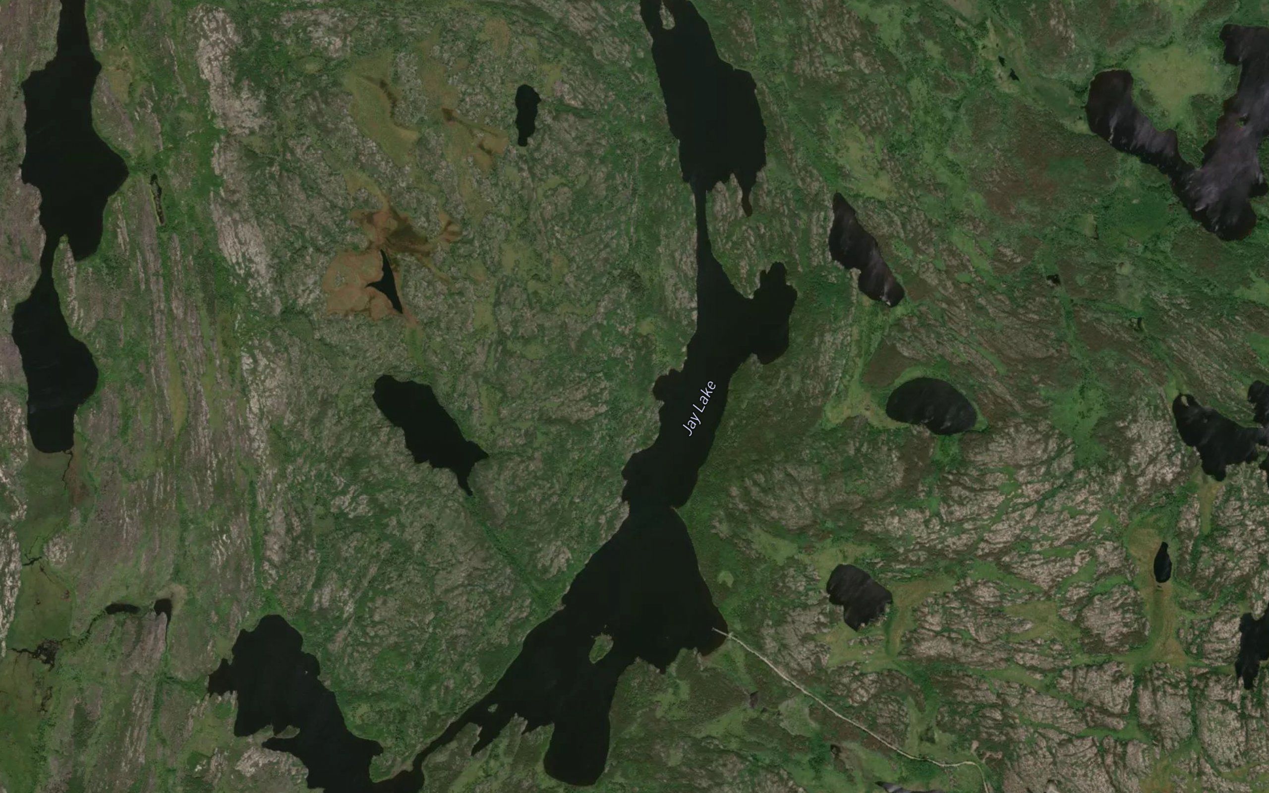 Jay Lake