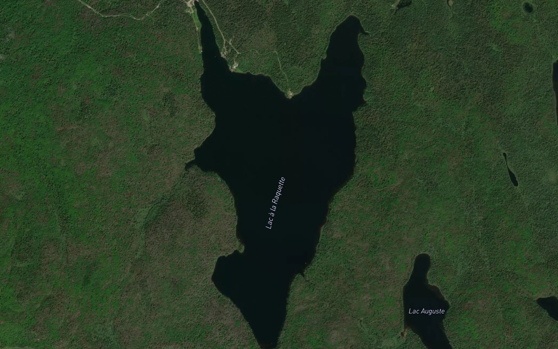 Satellite map of the Lac a la Raquette