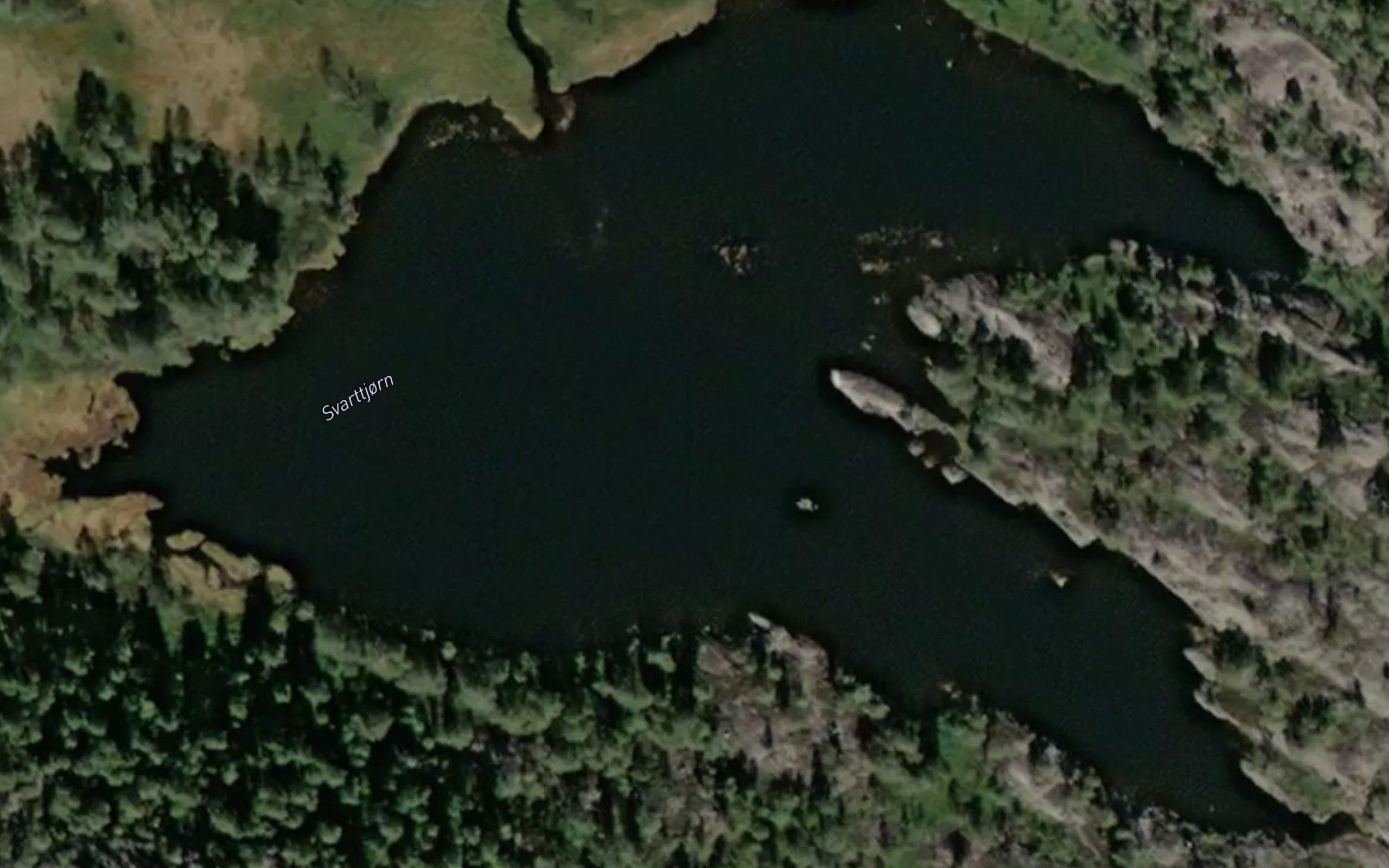 Svarttjorn