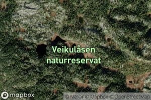 Eilevtjornan