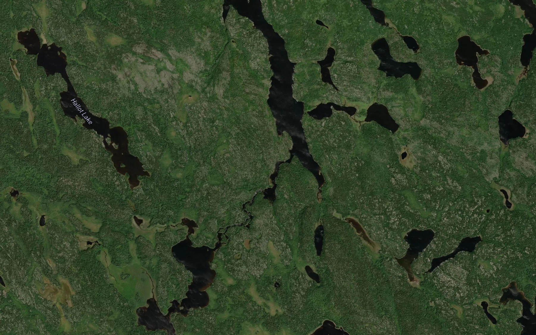 Satellite map of the Lookout River