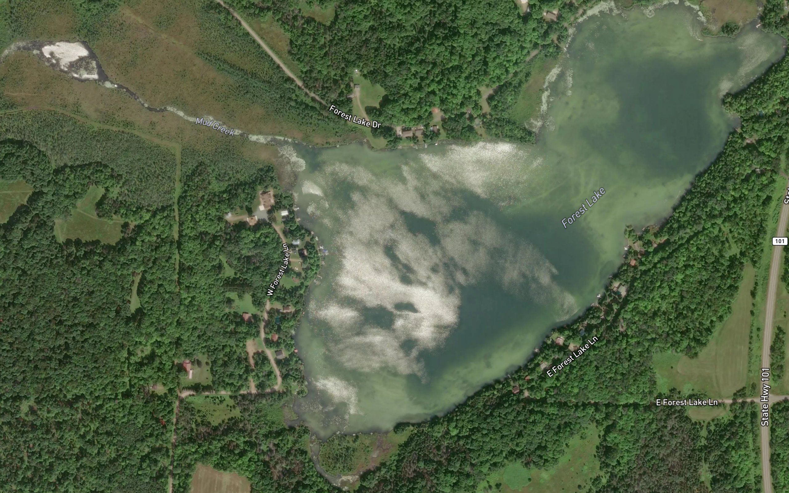 Forest Lake