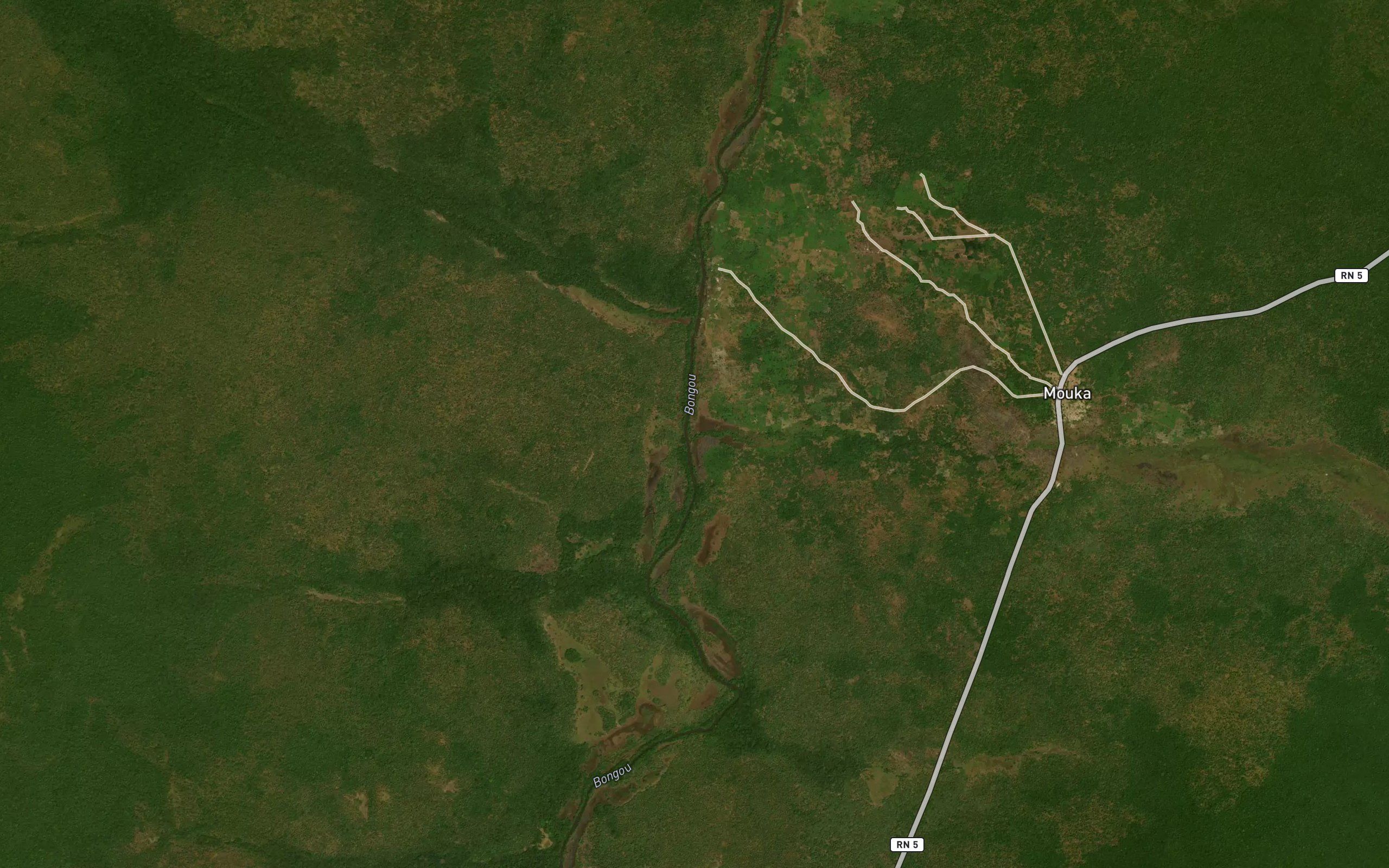 Diwa