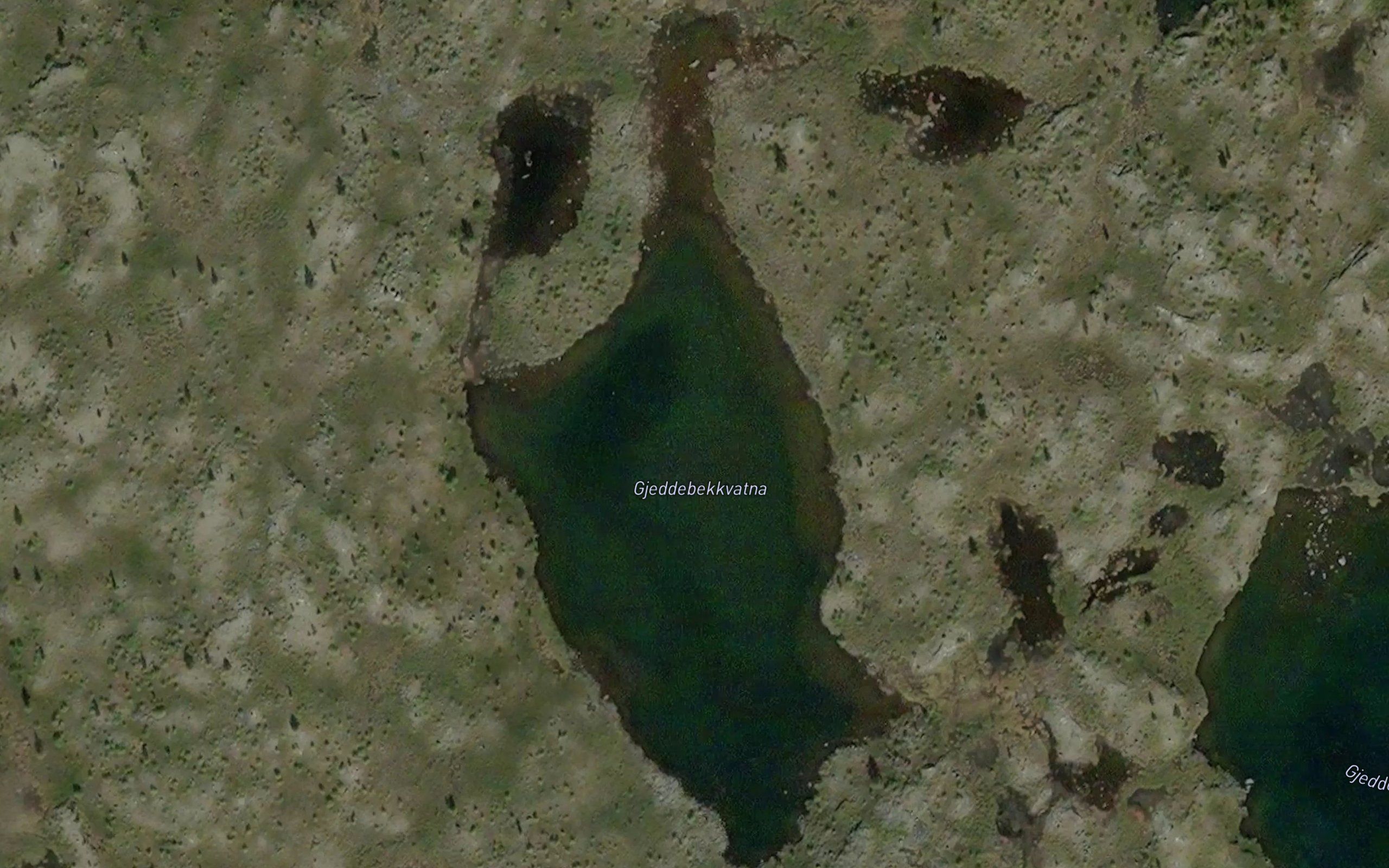 Gjeddebekkvatna