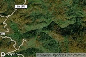 Honeycamp Branch