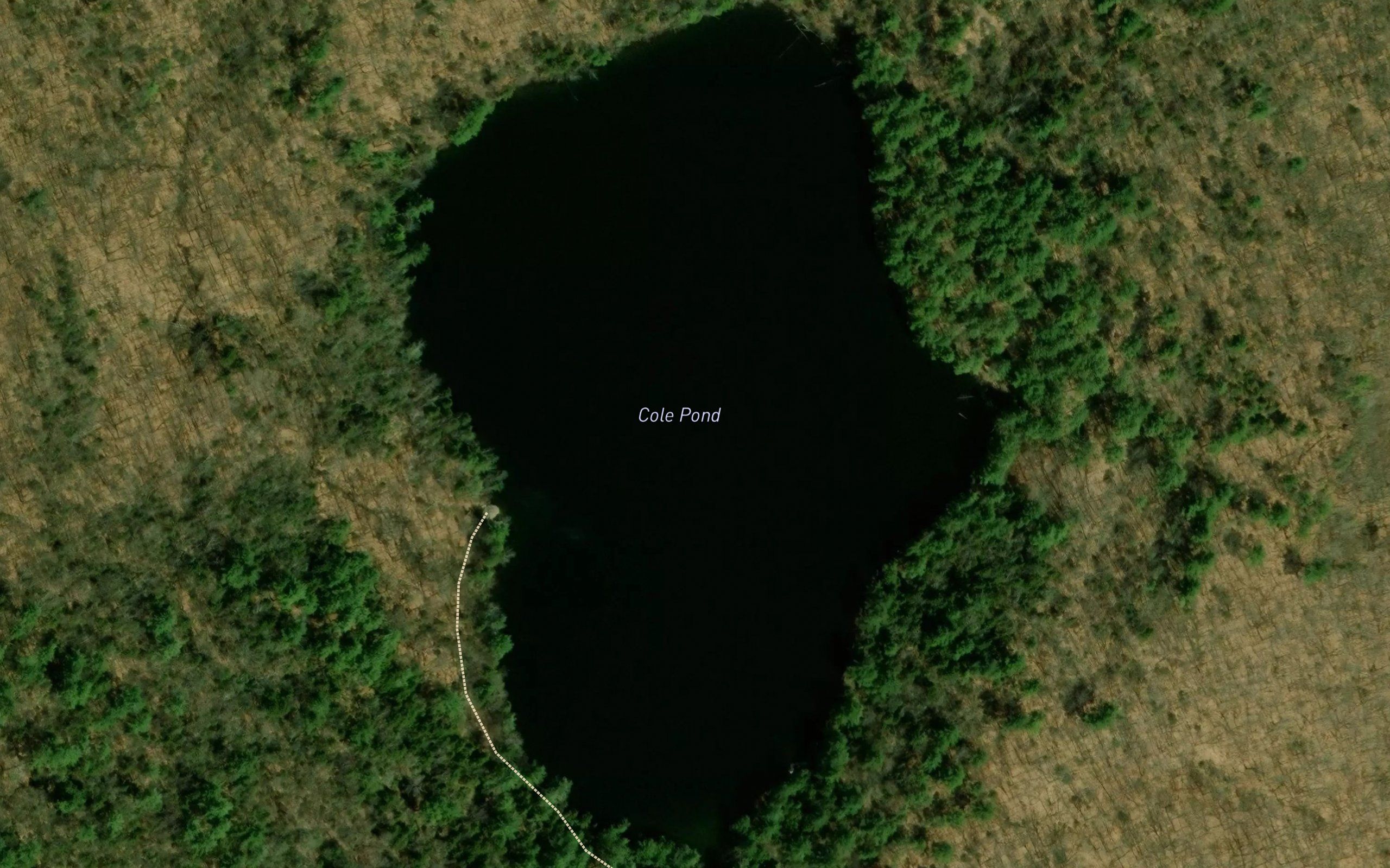 Cole Pond