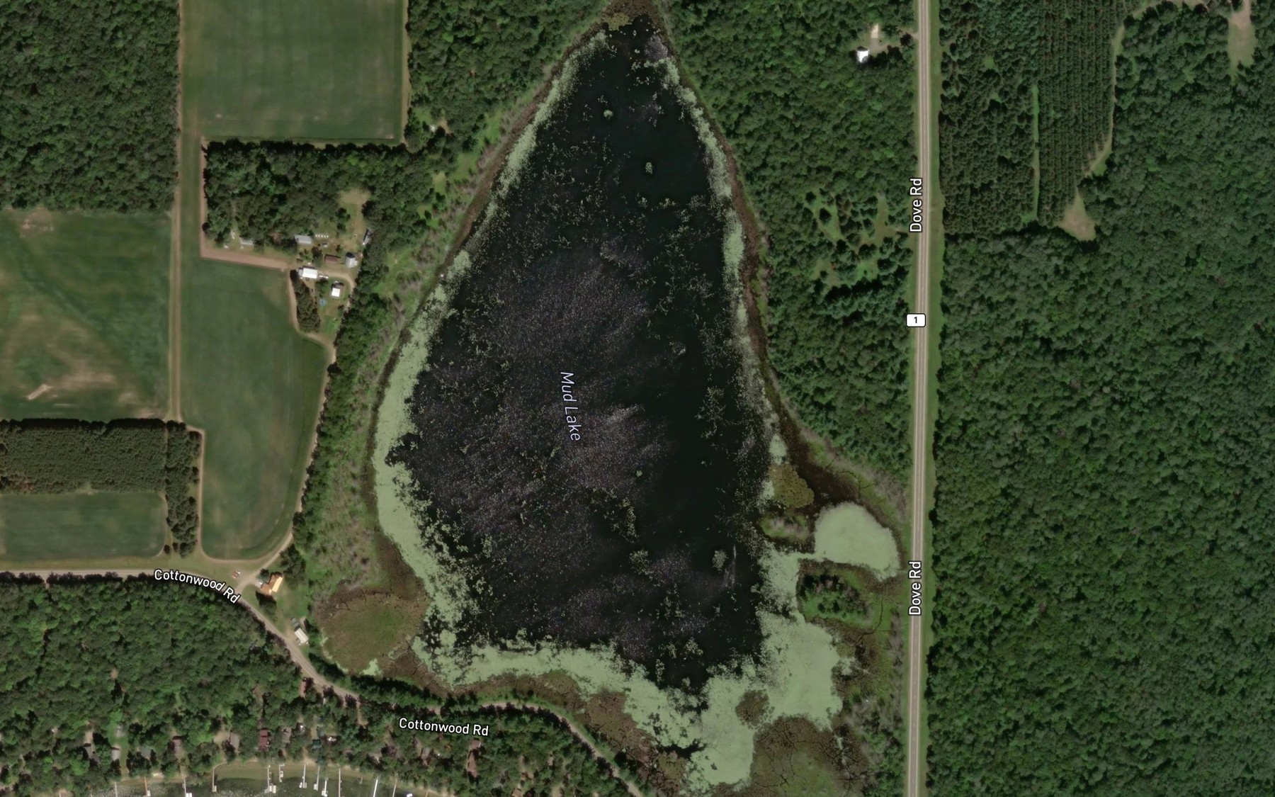 Satellite map of the Mud Lake