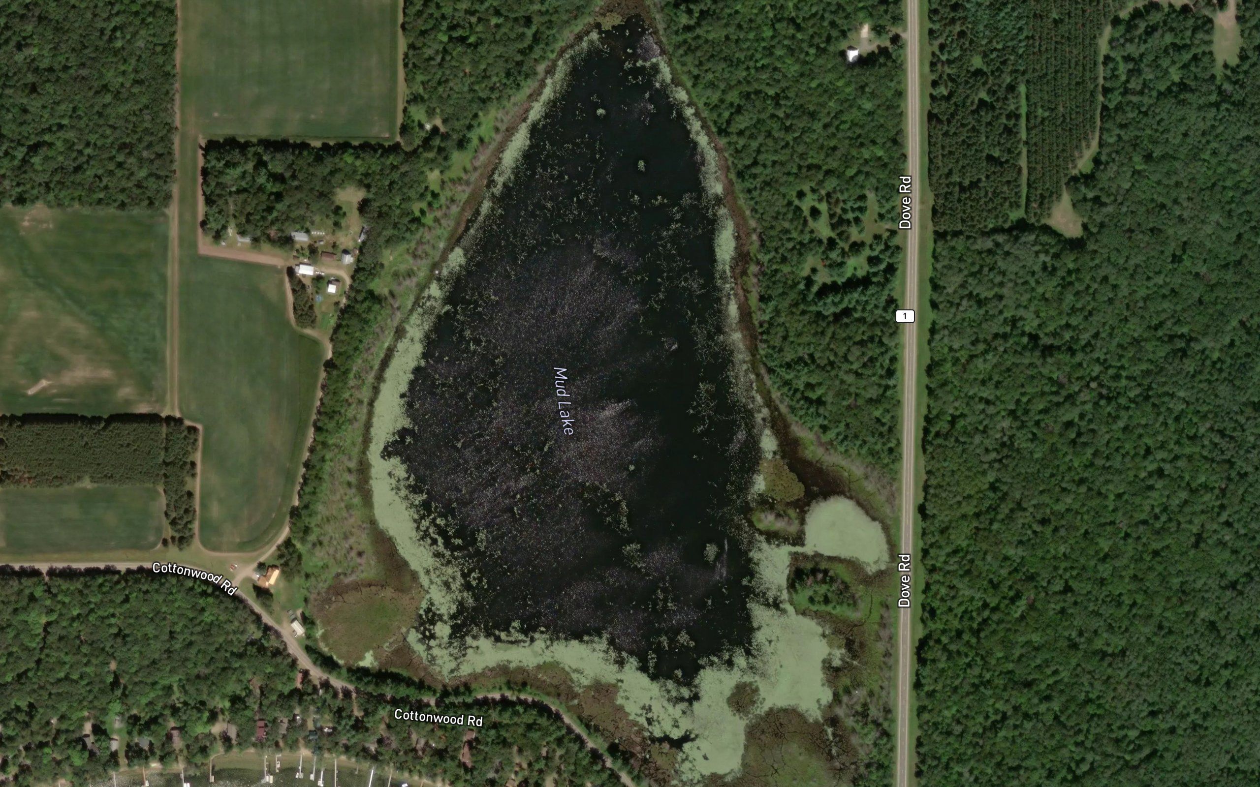 Mud Lake