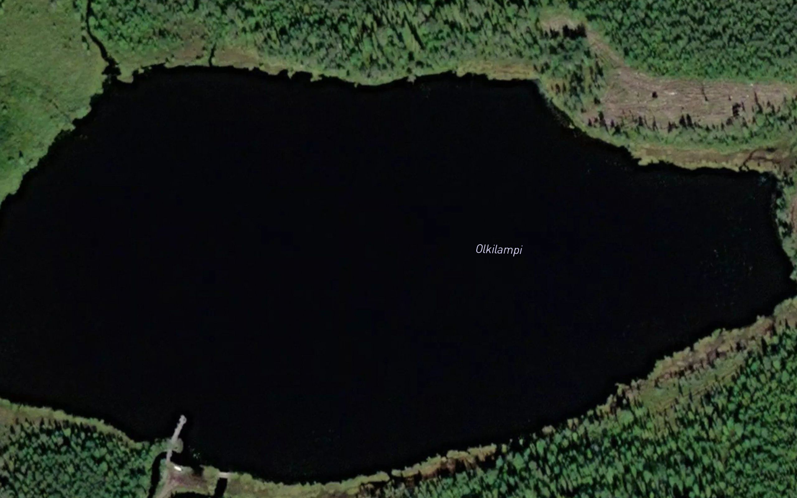 Olkilampi