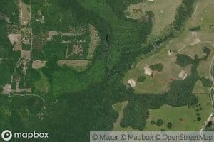 Gum Creek