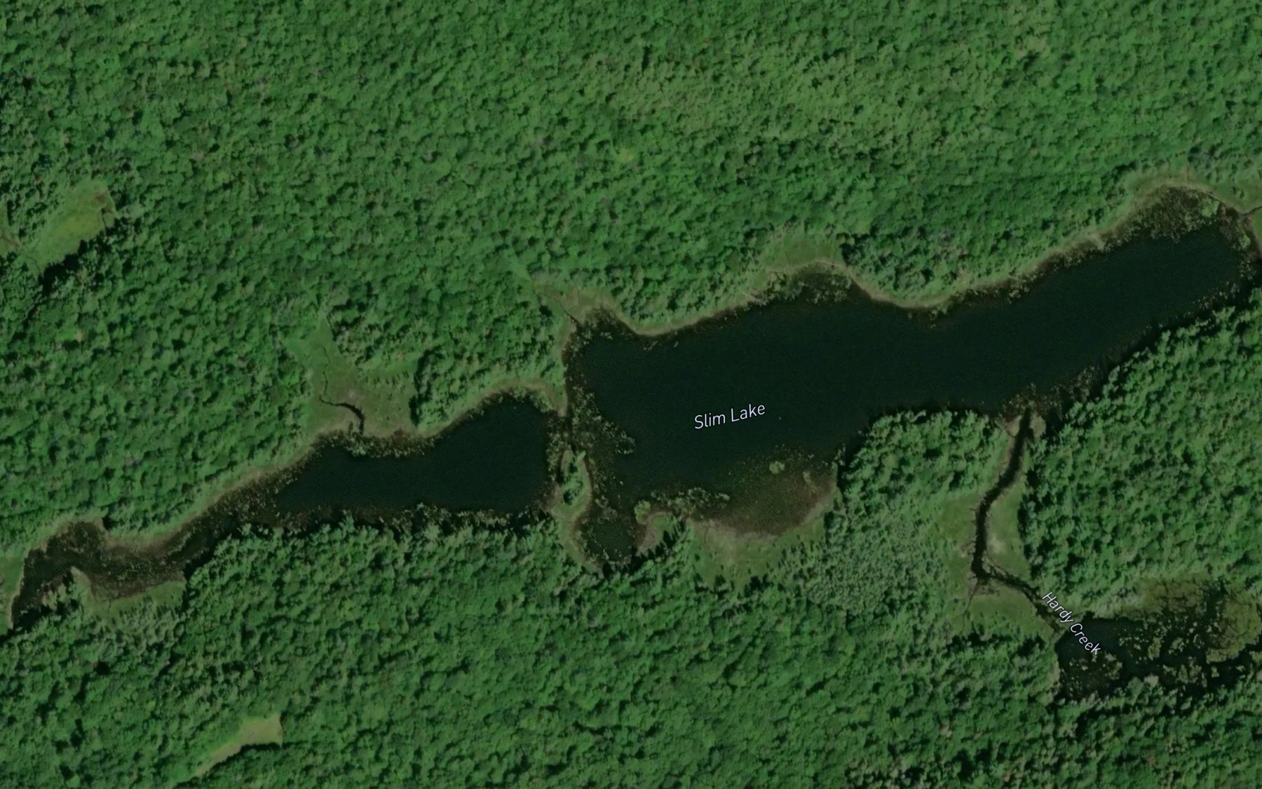 Satellite map of the Slim Lake