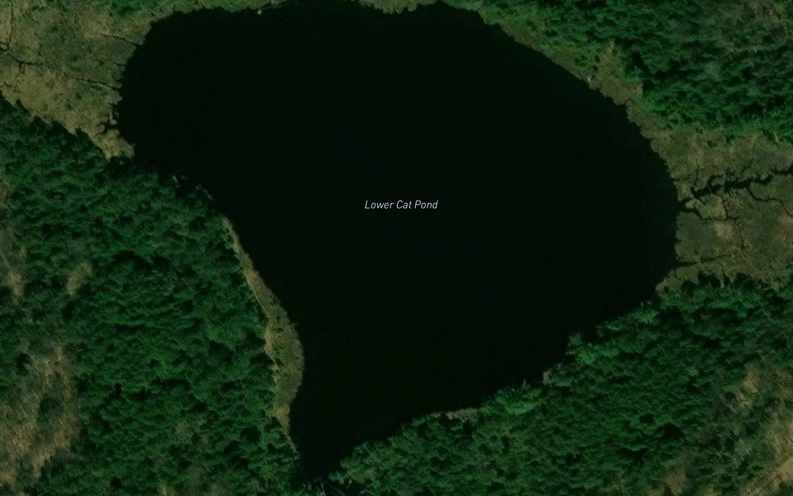 Lower Cat Pond