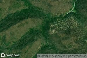 Left Fork Reuben Branch