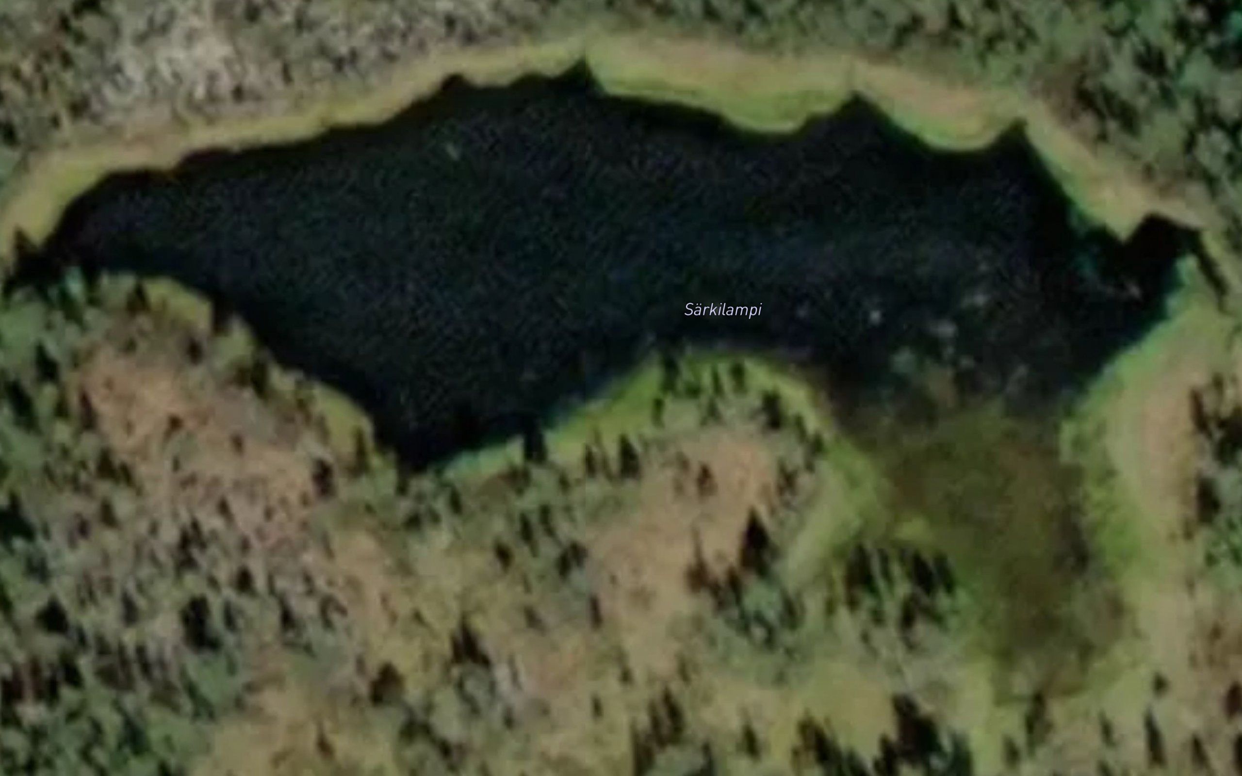 Sarkilampi
