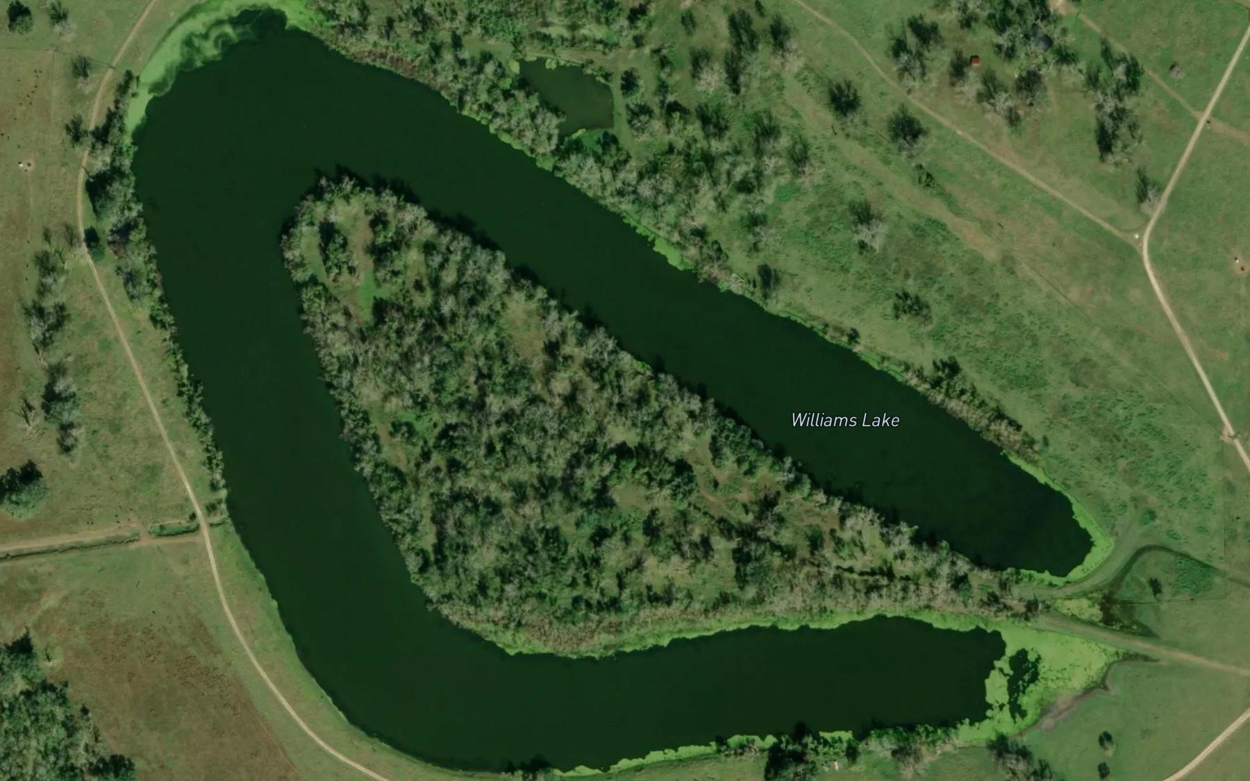 Satellite map of the Williams Lake