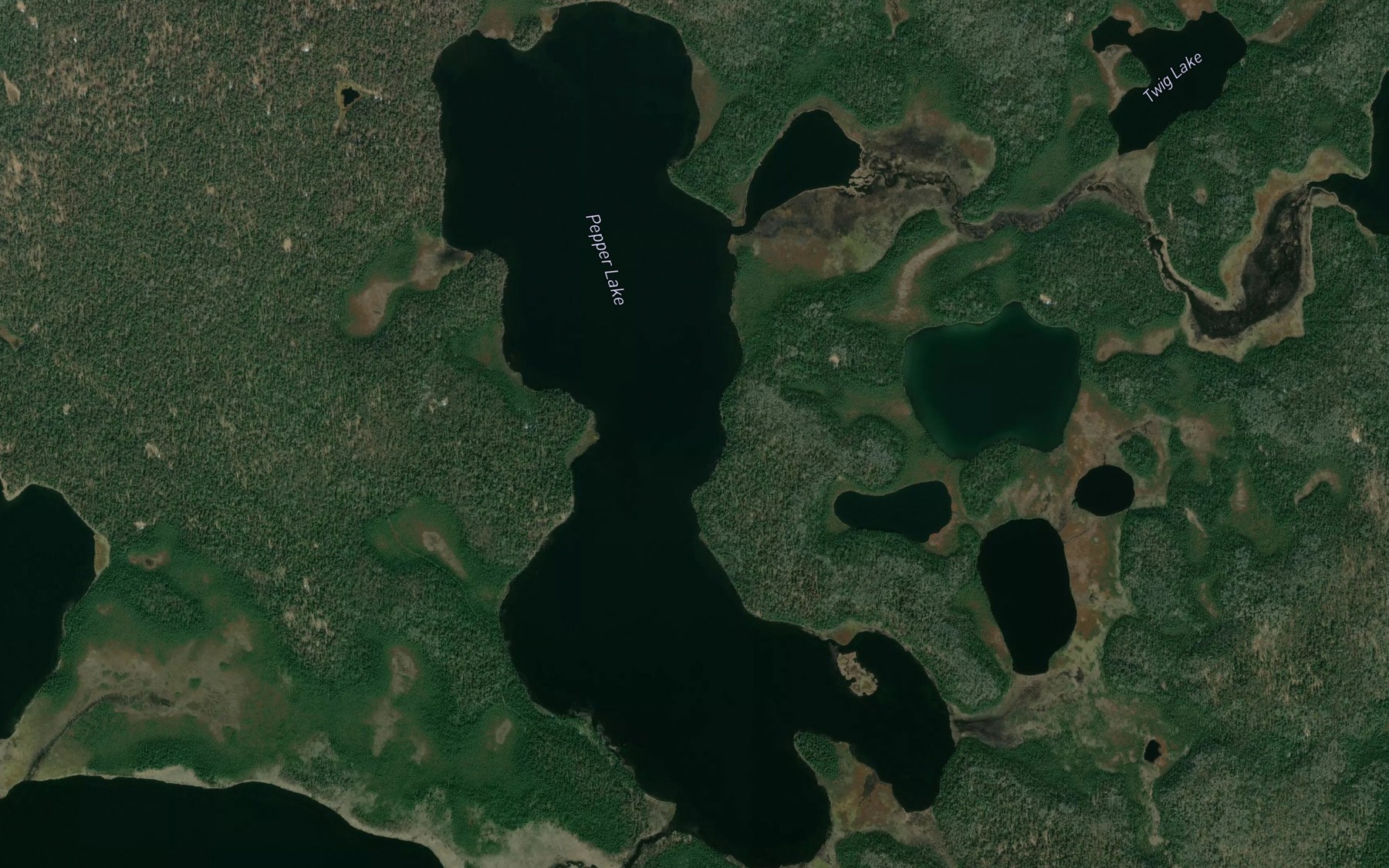 Satellite map of the Pepper Lake