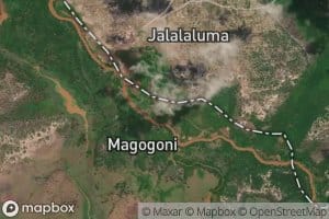 Magogoni